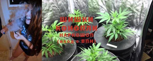 амф Богданович