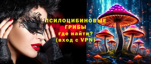 гидропоника Богородицк