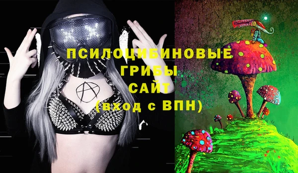 амф Богданович
