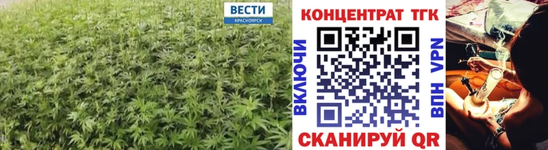 наркошоп  Называевск  ТГК THC oil 